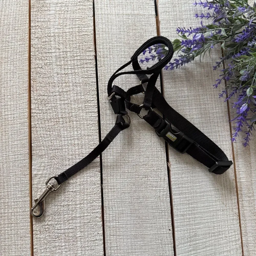 Coastal Walk ‘n Train Dog Head Halter